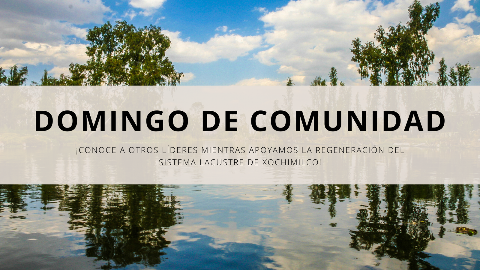 ¡Arrancamos Domingo de Comunidad haciendo un CamBIO Colectivo!
