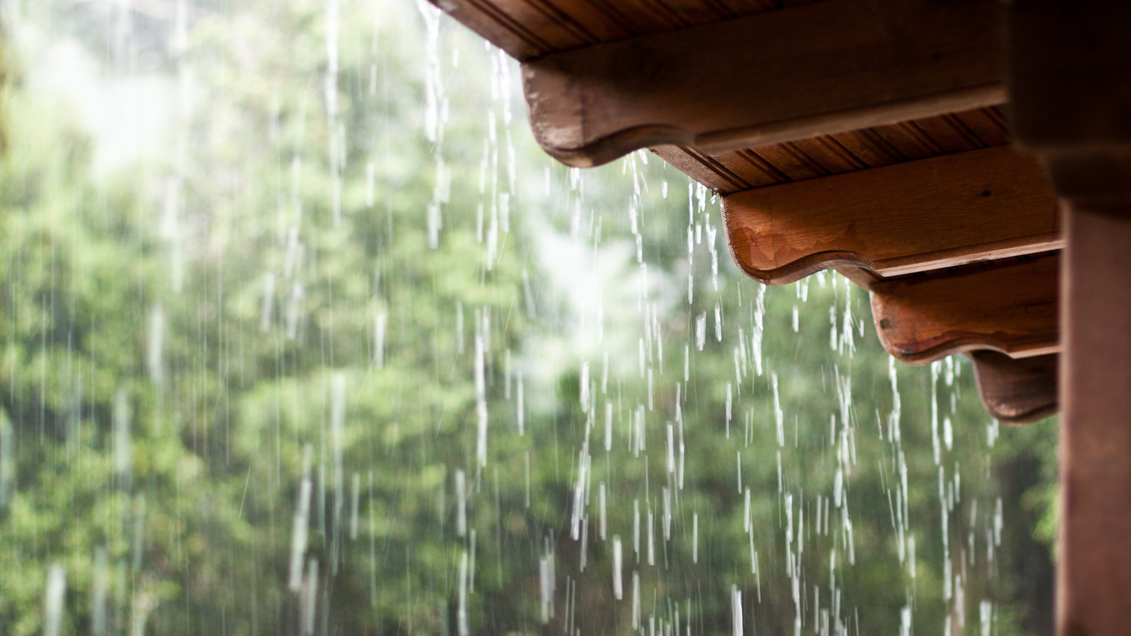 Domingo de Comunidad con Isla Urbana: Captar la lluvia, transformar la ciudad