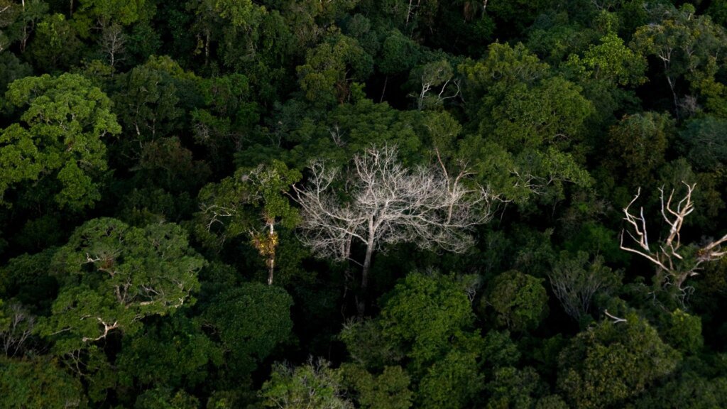 cop-30-resumen-primea-semana-2